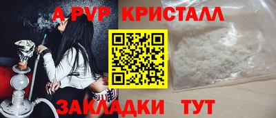 прущие грибы Тула