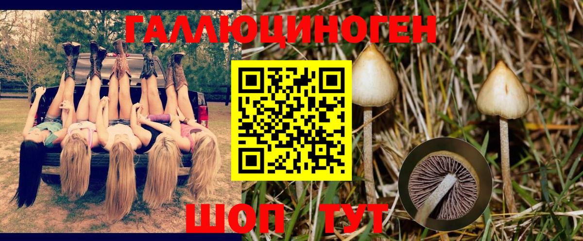 Галлюциногенные грибы GOLDEN TEACHER  где продают наркотики  Псилоцибиновые грибы MAGIC MUSHROOMS  Белово  Вход с VPN 