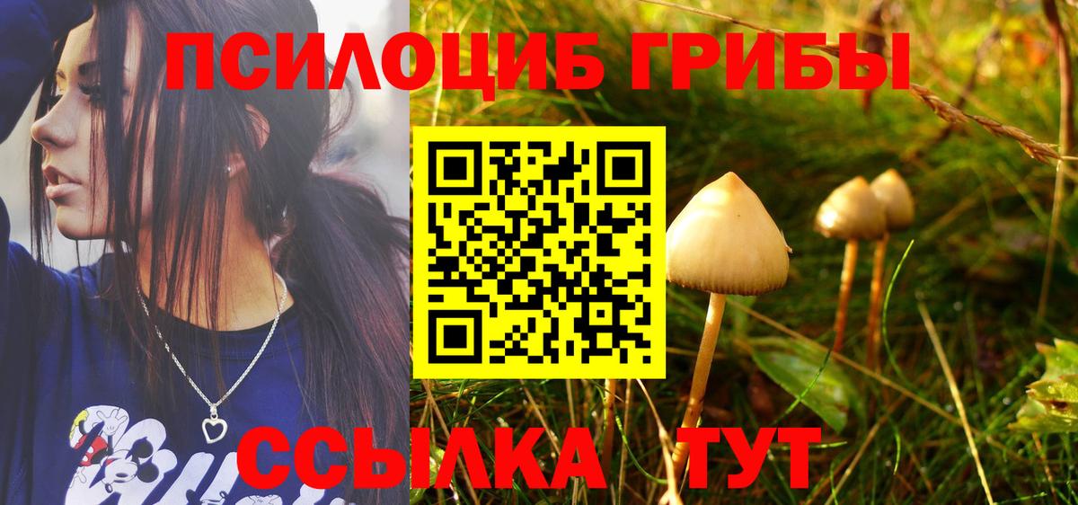 Галлюциногенные грибы Cubensis Белово